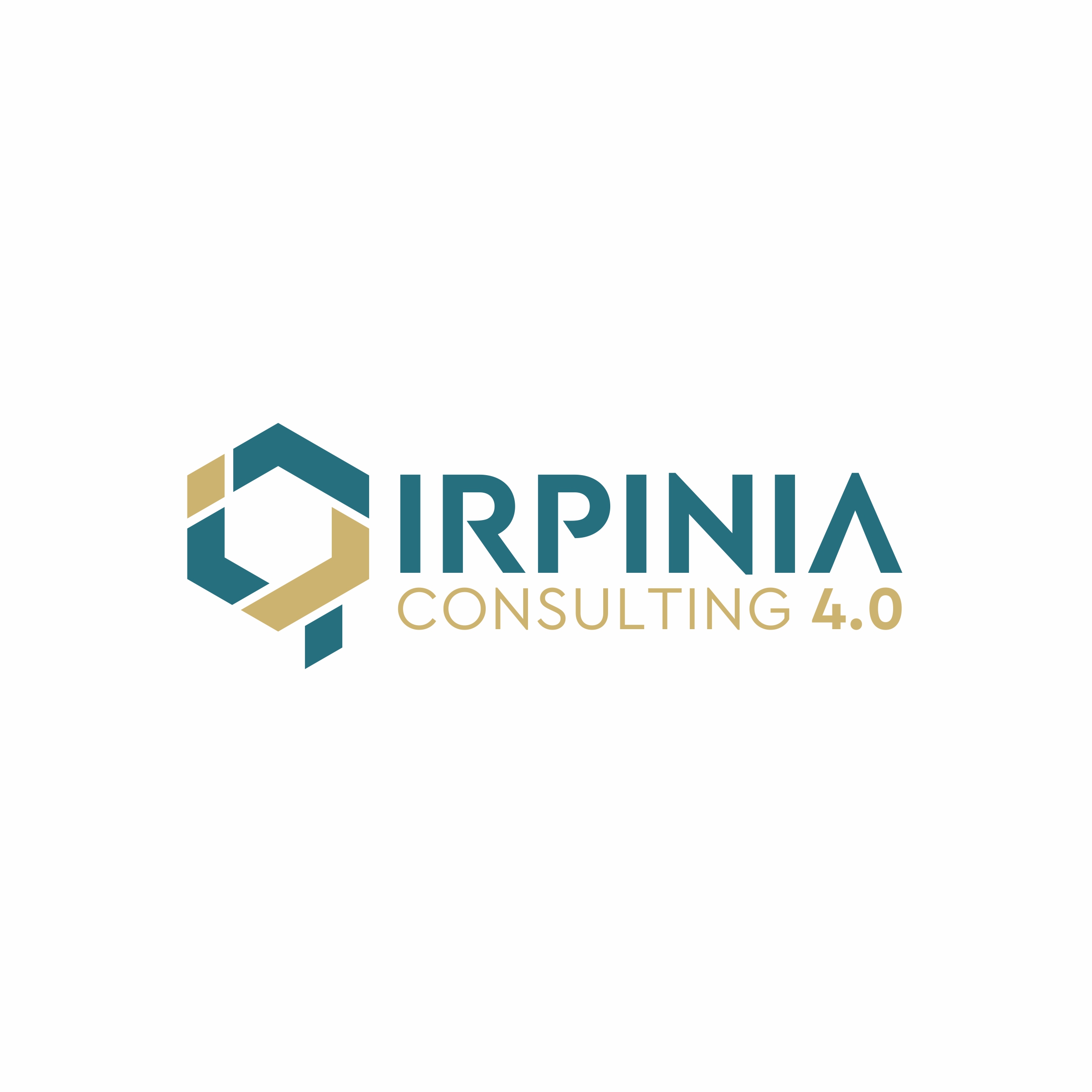 Irpinia Consulting 4.0